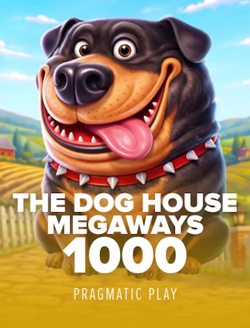 dog house